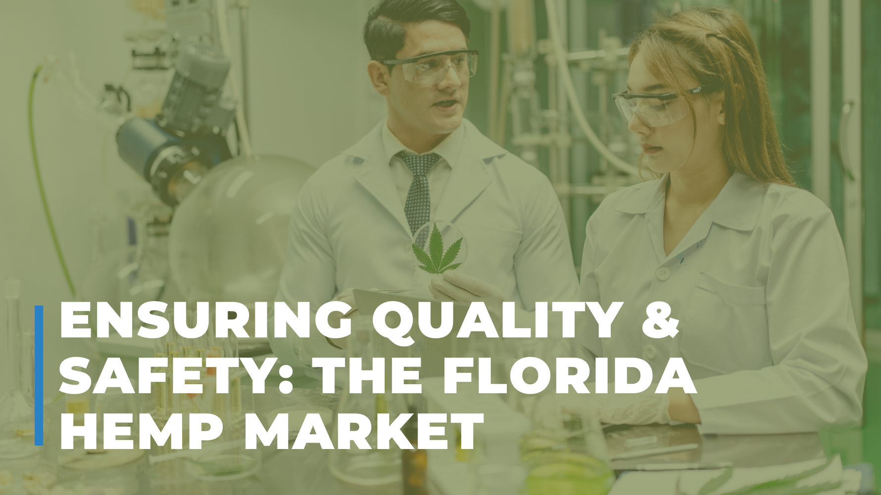 Ensuring Quality and Safety: The Florida Hemp Market