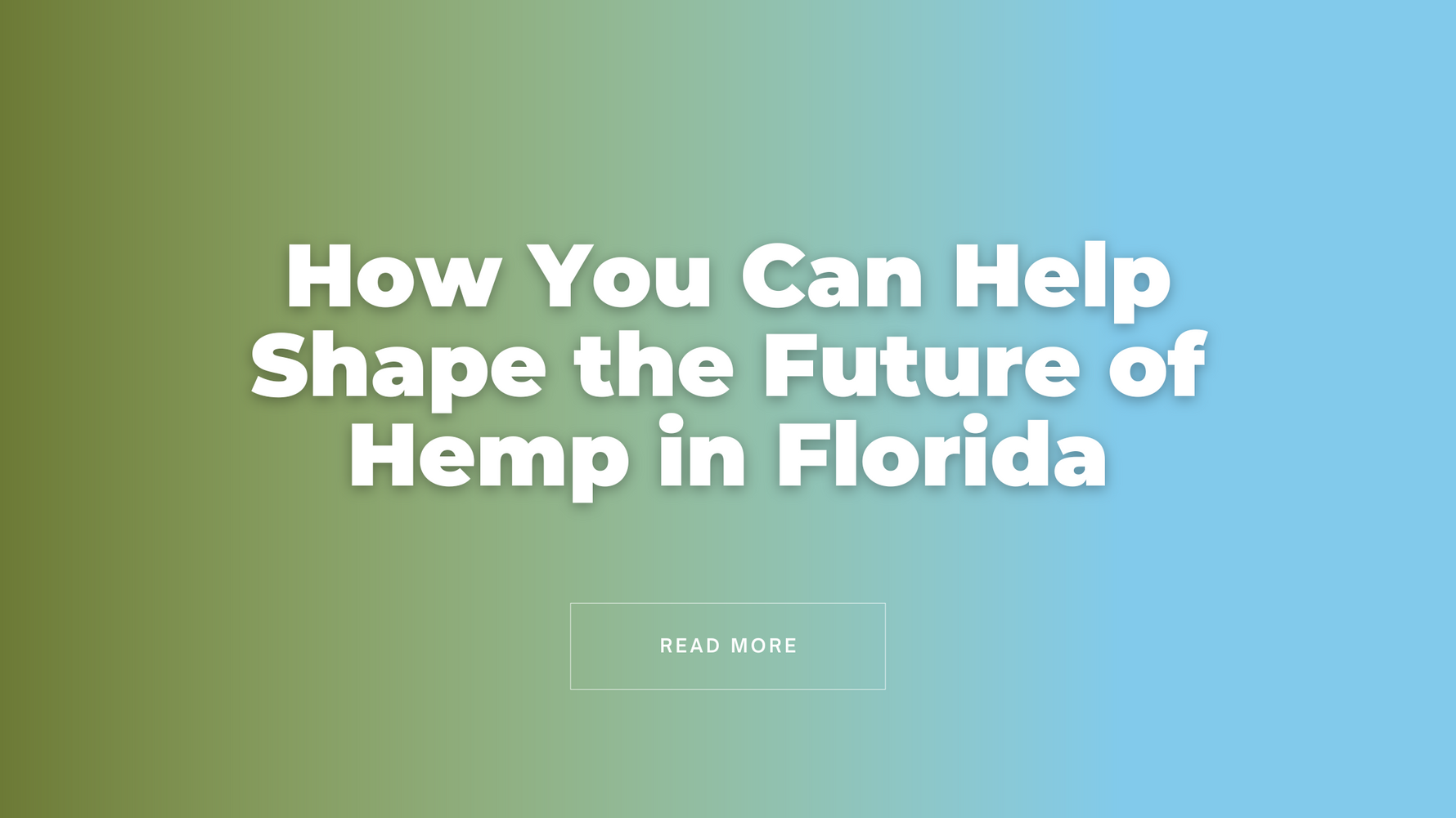 How You Can Help Shape the Future of Hemp in Florida