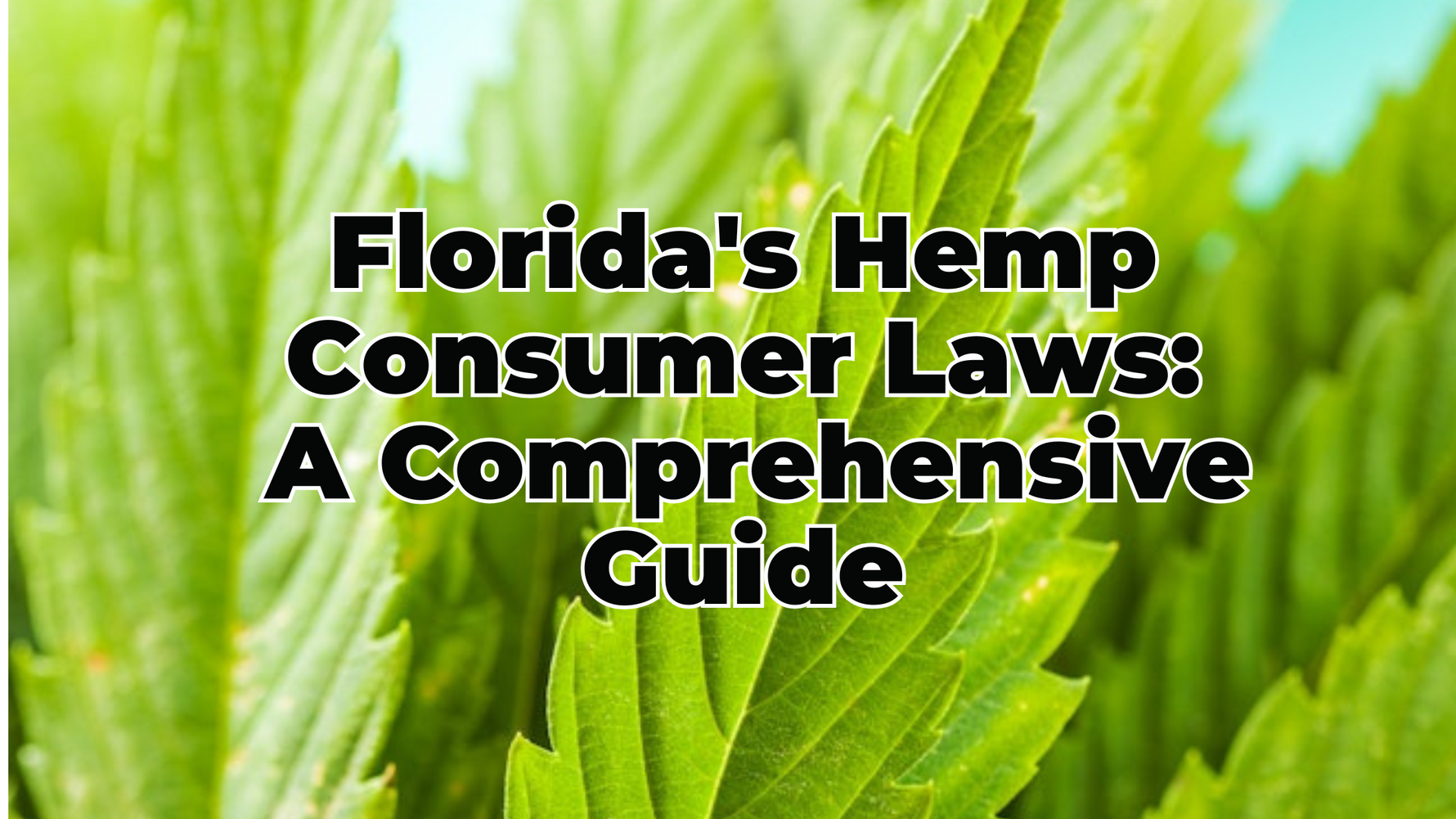 Florida's Hemp Consumer Laws: A Comprehensive Guide