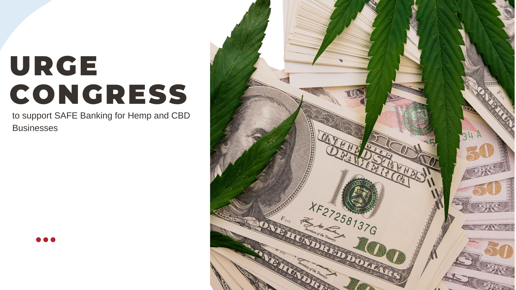 Breaking Barriers Empowering Hemp and CBD Businesses through SAFE Banking