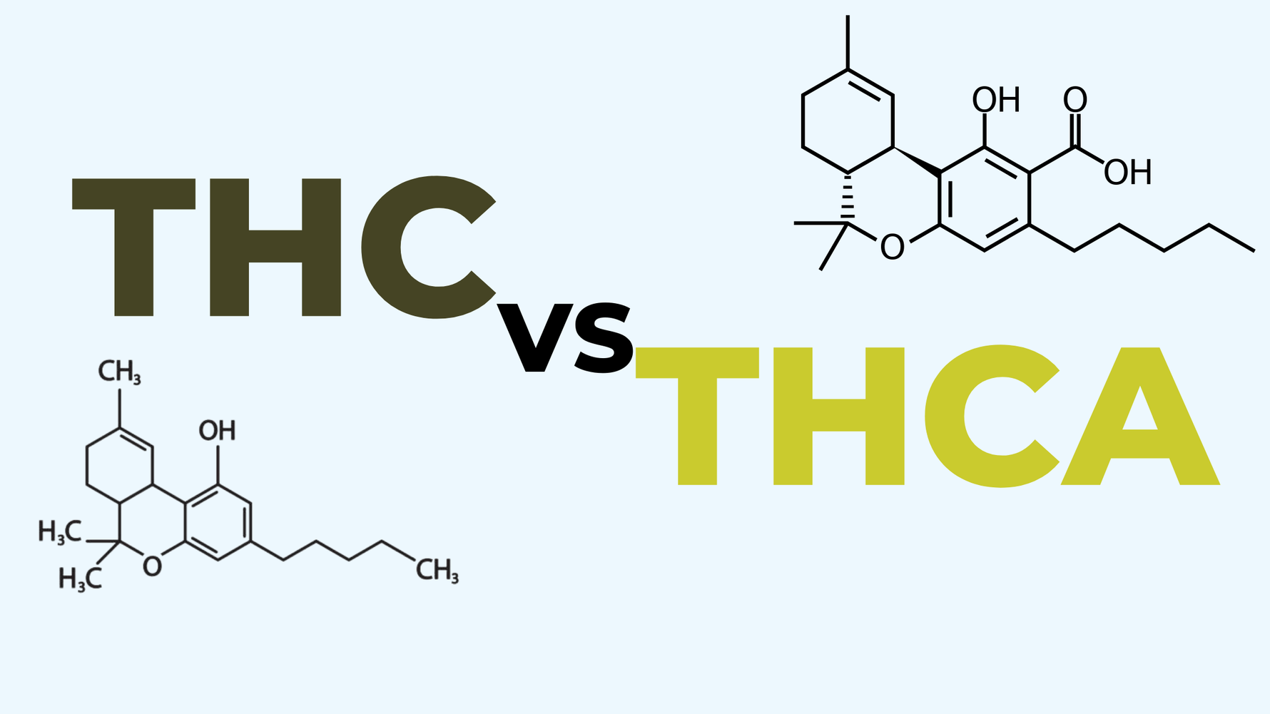 Unraveling THCA and THC Differences for the Cannabis Enthusiast