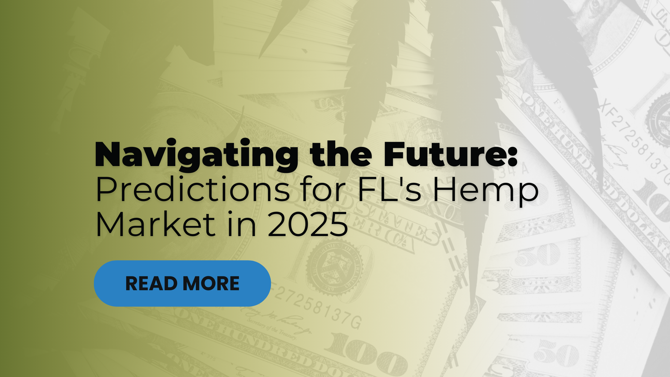 Navigating the Future: Predictions for FL's Hemp Market in 2025